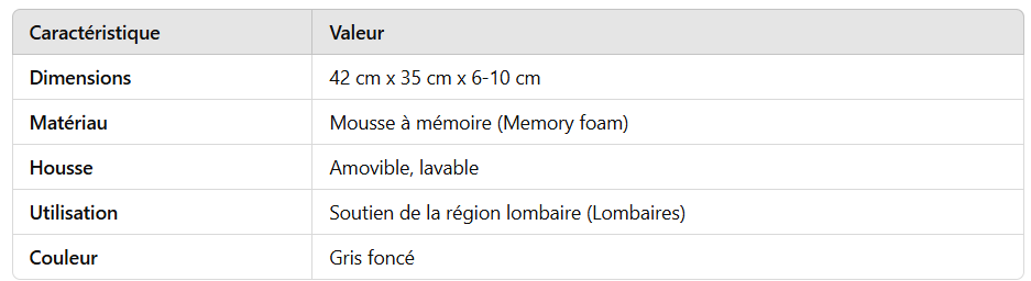 Coussin lombaire AT03003