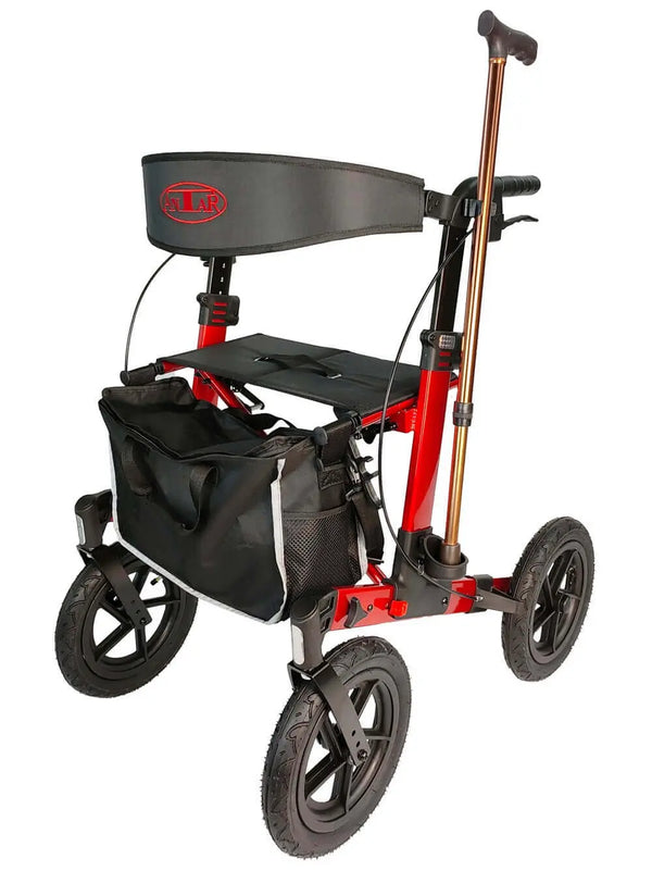 Déambulateur tout-terrain premium Antar, roues pneumatiques 29 cm