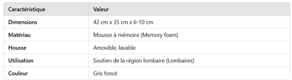 Coussin lombaire AT03003
